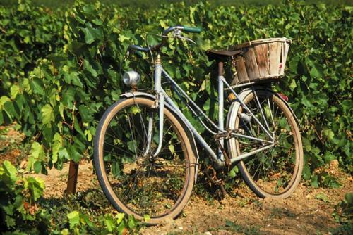 La Maison Grenadine près du canal du midi Tourouzelle Esterno foto